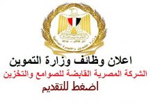 الشركة المصرية القابضة للصوامع والتخزين