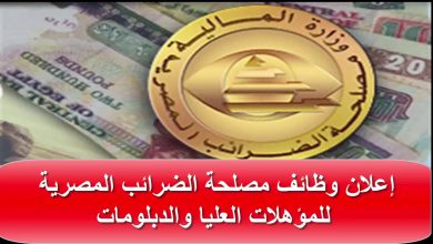 وظائف مصلحة الضرائب المصرية