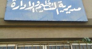 مديرية التنظيم والادارة