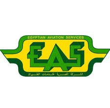 الشركة المصرية لخدمات الطيران