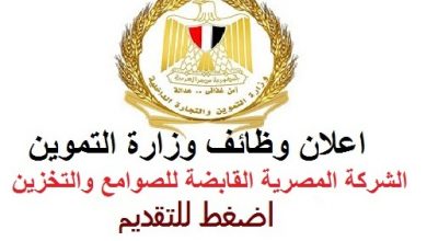 الشركة المصرية القابضة للصوامع والتخزين