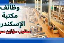 وظائف مكتبة الإسكندرية